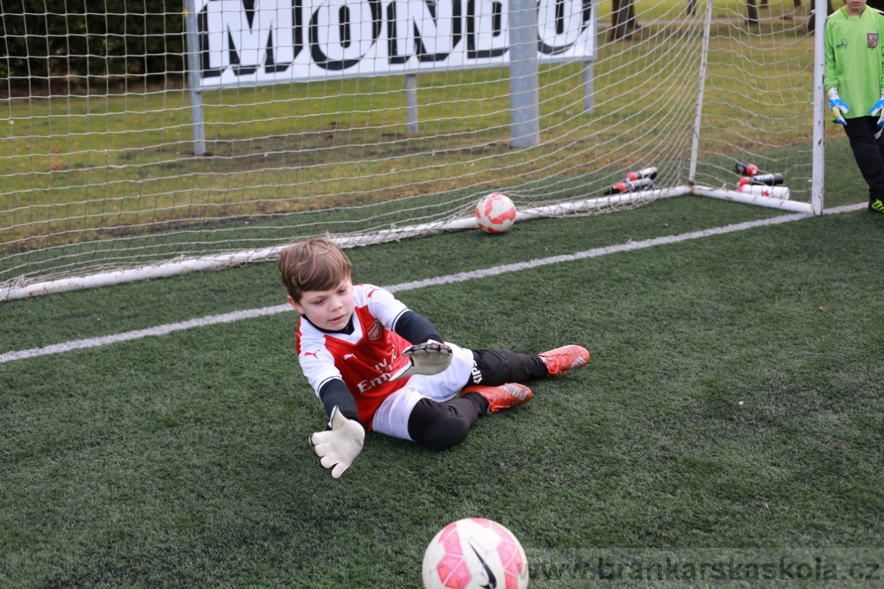 BFŠJCH - Zima 2018 - Sobota