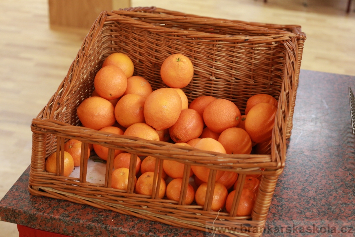 BFŠJCH - Zima 2018 - Neděle