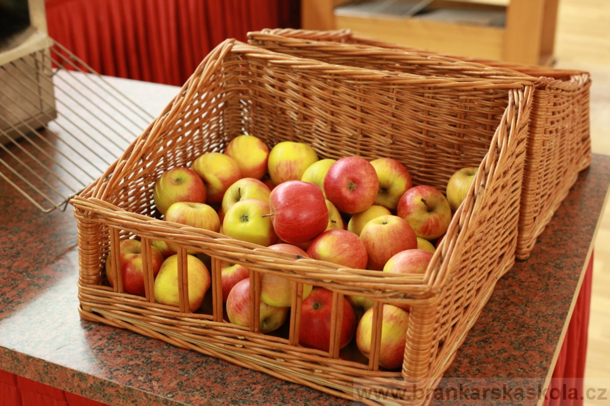 BFŠJCH - Zima 2018 - Neděle