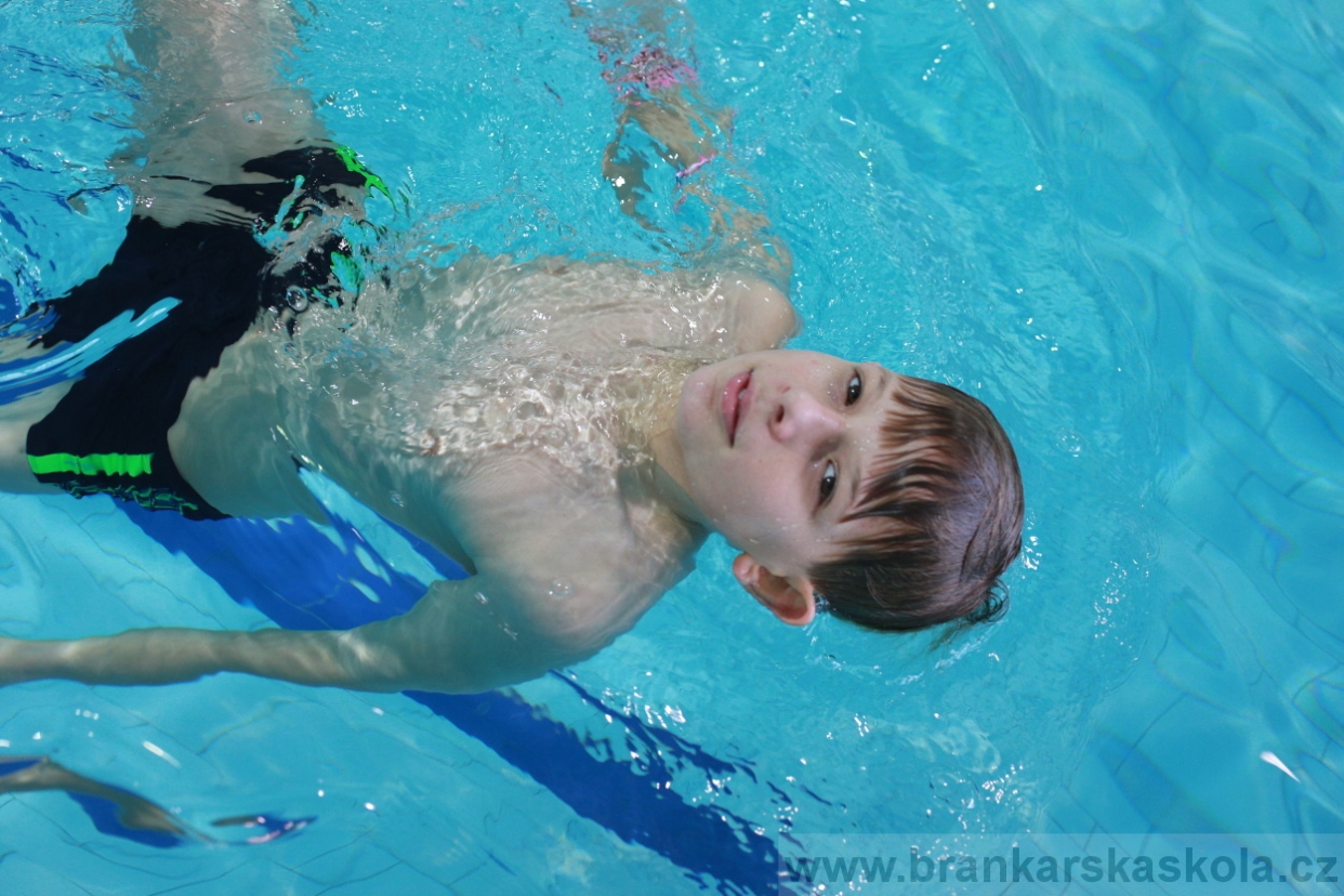 BFŠJCH - Zima 2018 - Neděle