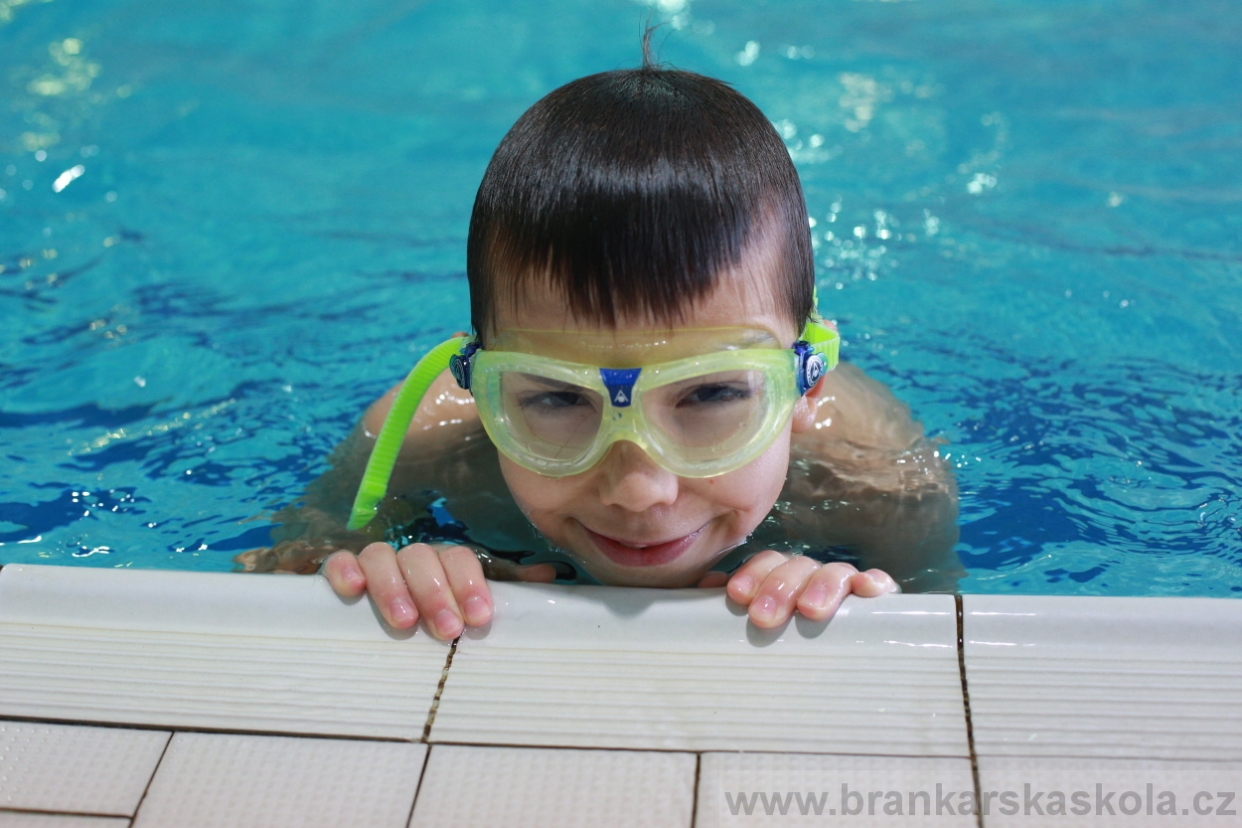 BFŠJCH - Zima 2018 - Neděle