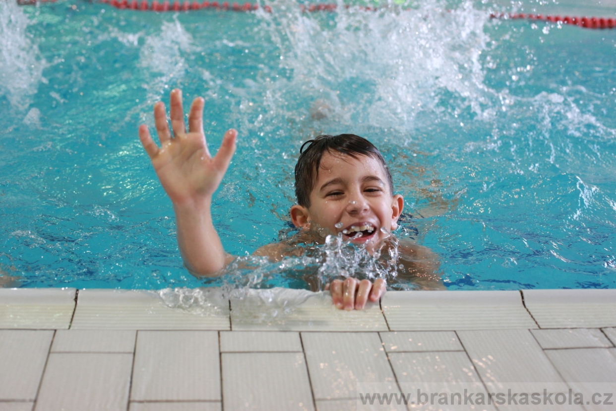 BFŠJCH - Zima 2018 - Neděle