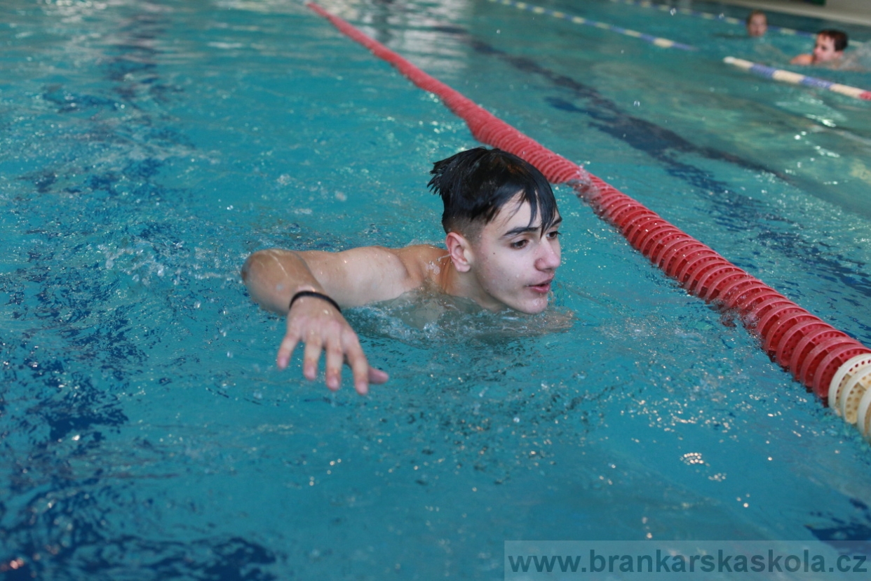 BFŠJCH - Zima 2018 - Neděle