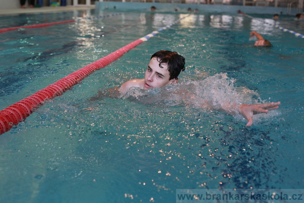 BFŠJCH - Zima 2018 - Neděle