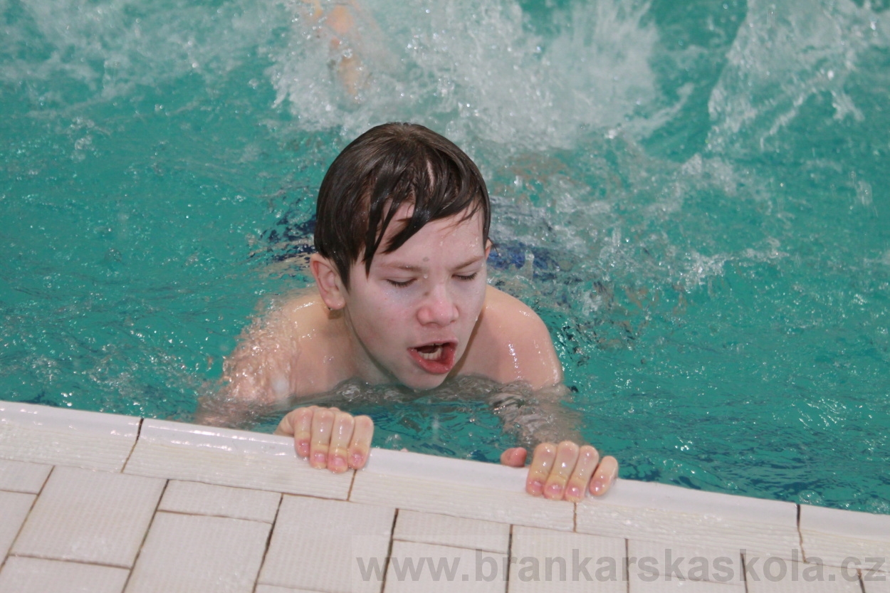 BFŠJCH - Zima 2019 - Pátek