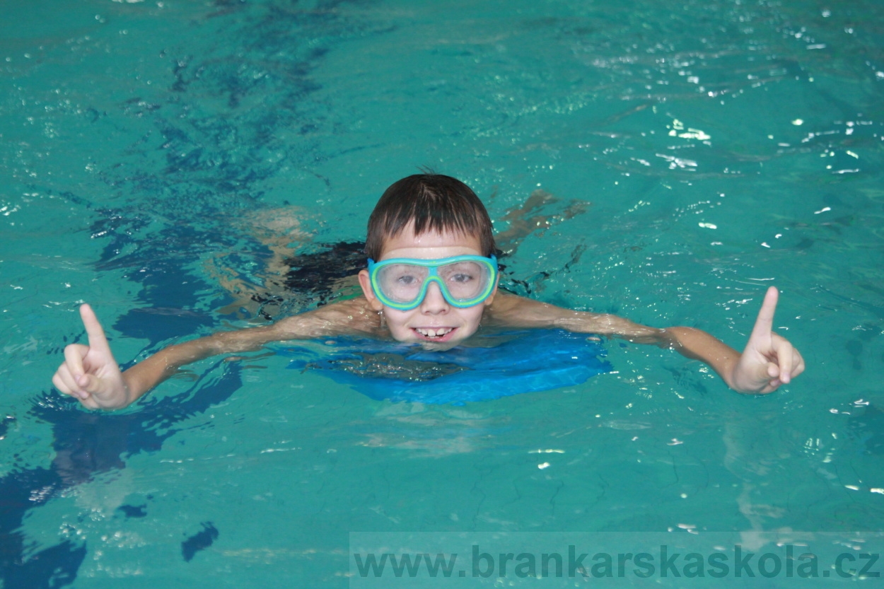 BFŠJCH - Zima 2019 - Pátek