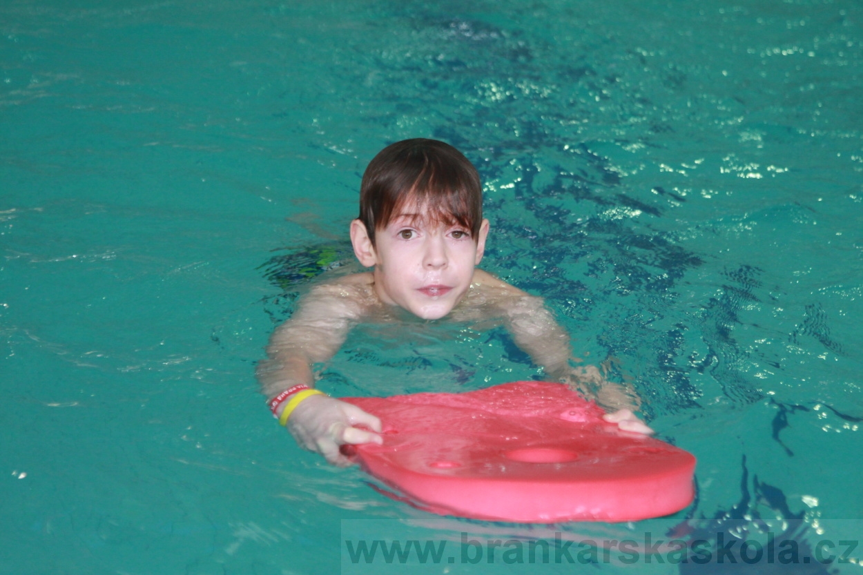 BFŠJCH - Zima 2019 - Pátek