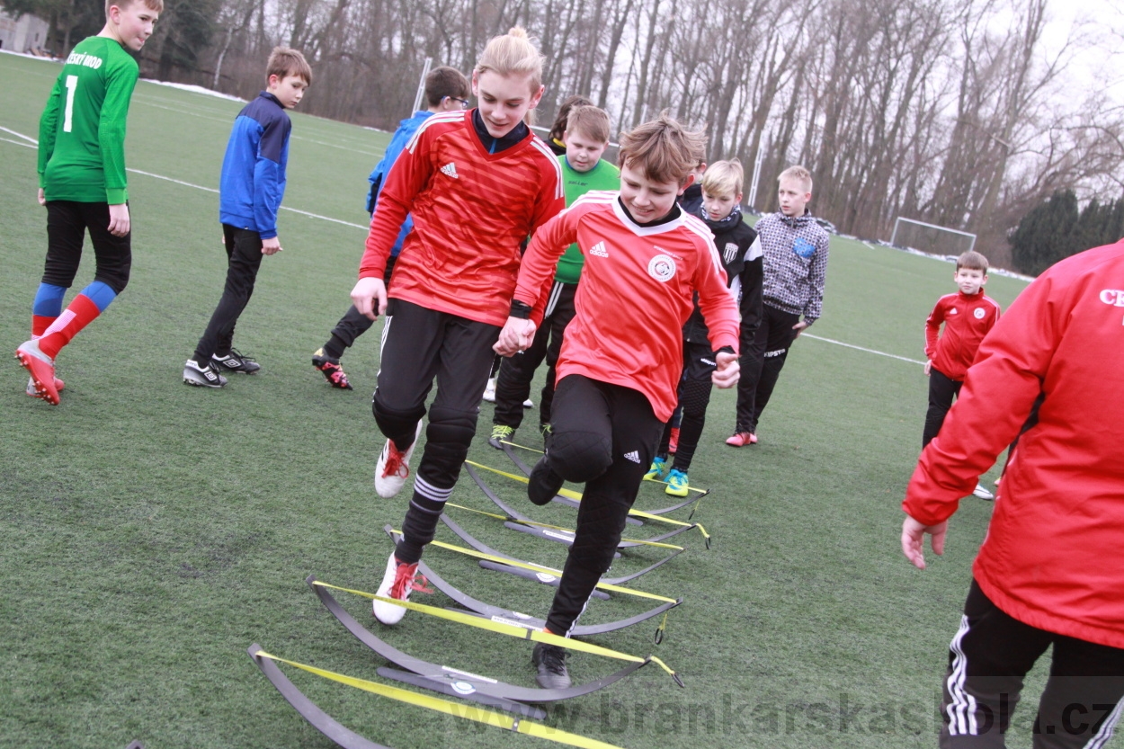 BFŠJCH - Zima 2019 - Pátek