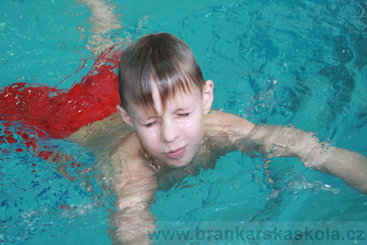 BFŠJCH - Zima 2019 - Sobota