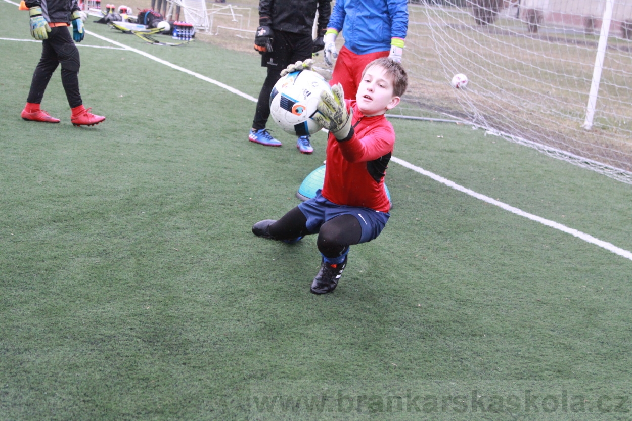 BFŠJCH - Zima 2019 - Sobota