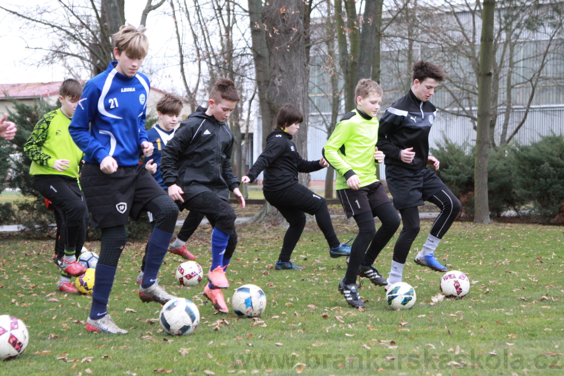 BFŠJCH - Zima 2020 - 31.1.2020