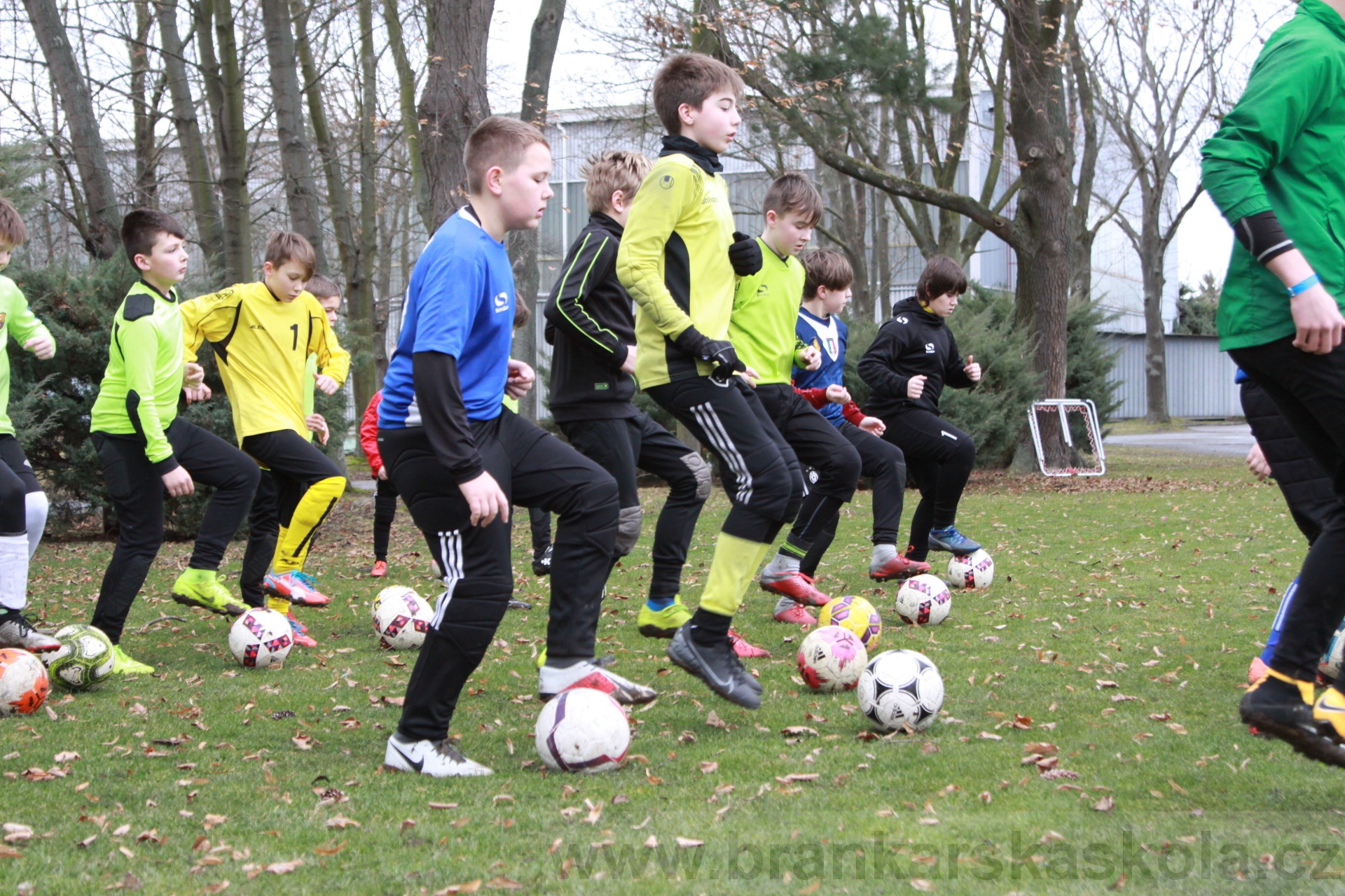 BFŠJCH - Zima 2020 - 31.1.2020