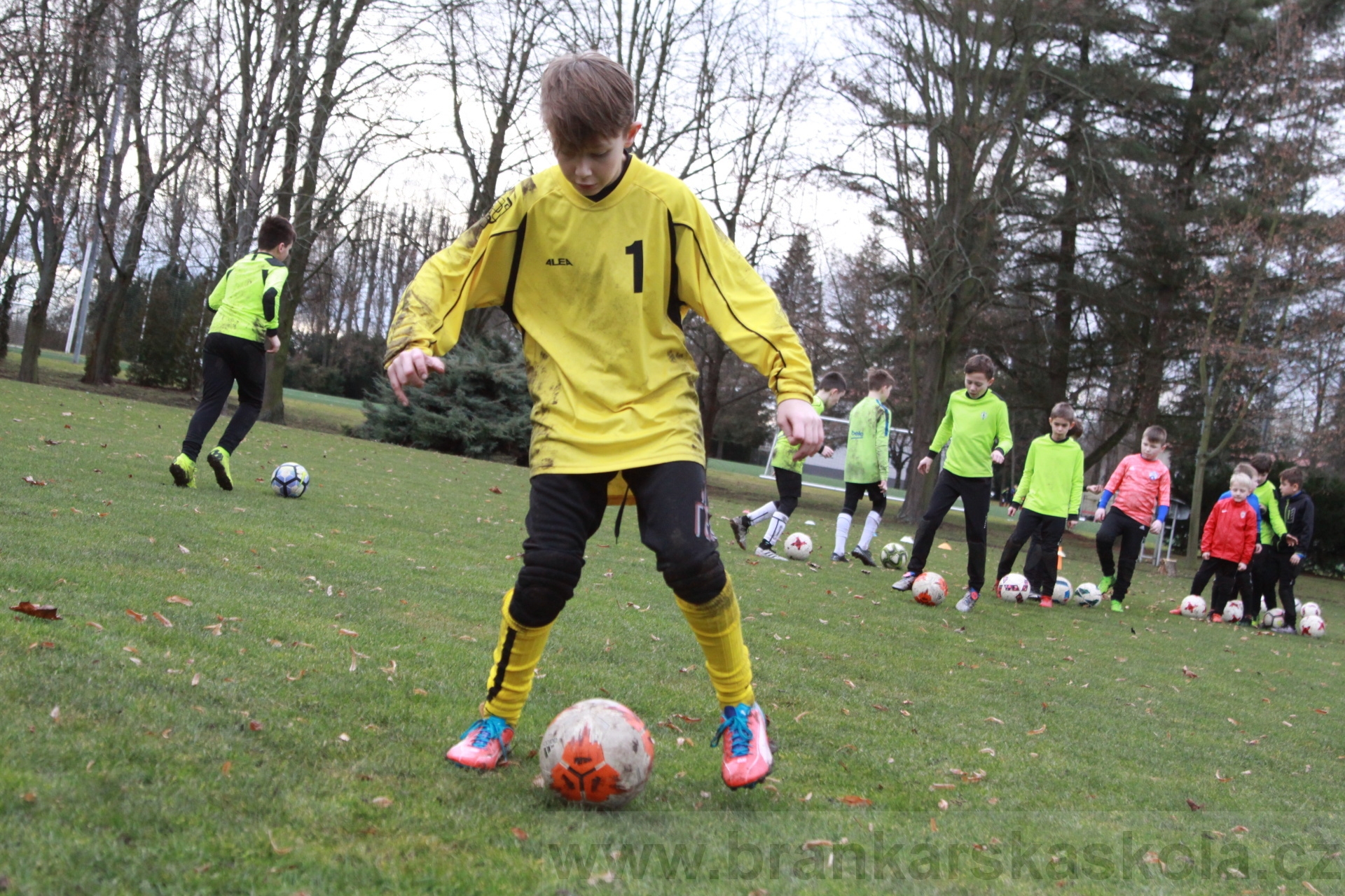 BFŠJCH - Zima 2020 - 31.1.2020