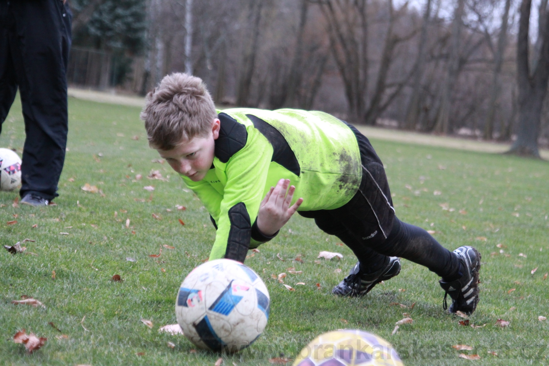 BFŠJCH - Zima 2020 - 31.1.2020