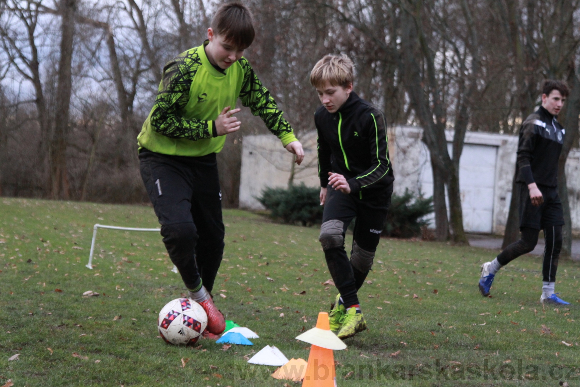 BFŠJCH - Zima 2020 - 31.1.2020