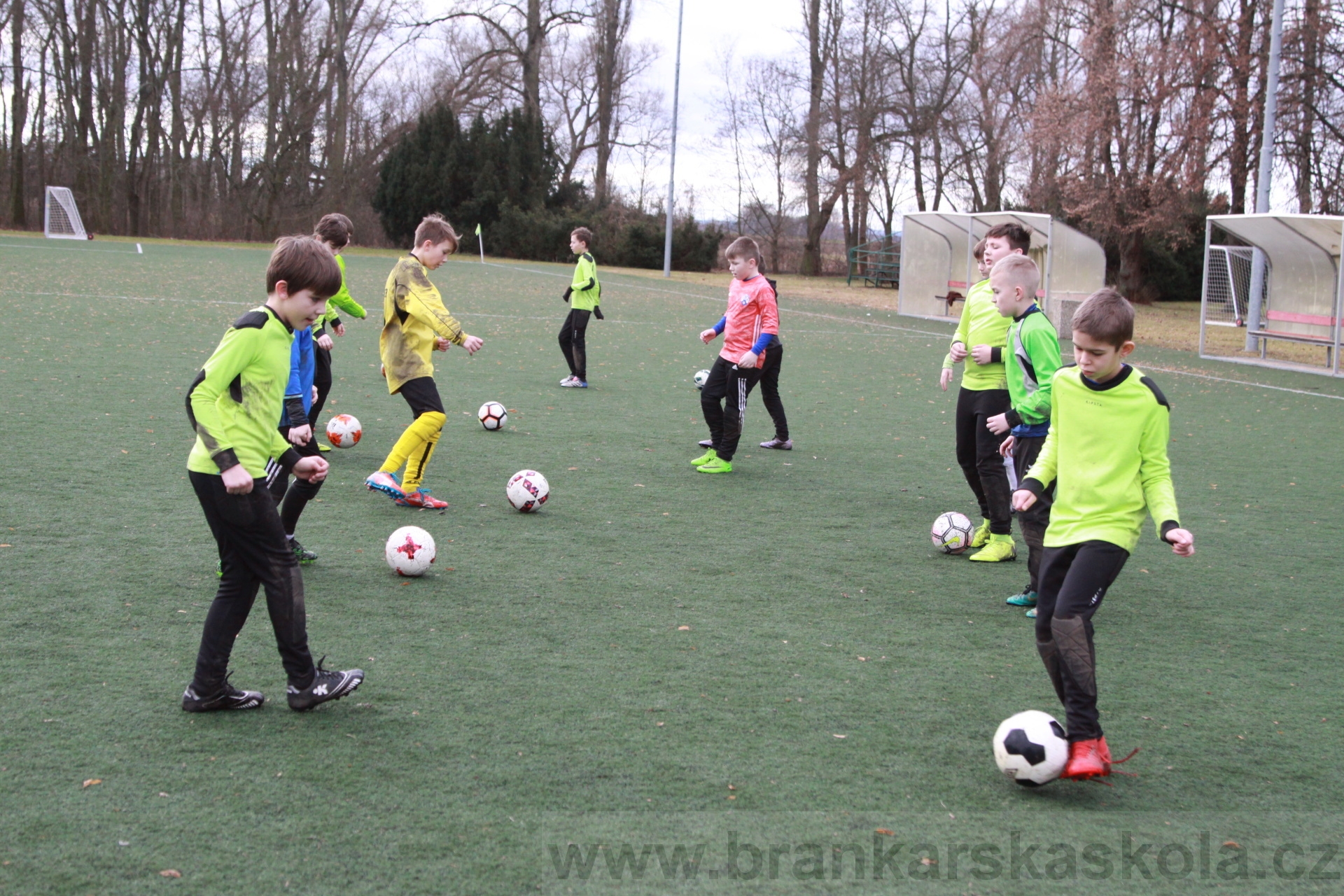 BFŠJCH - Zima 2020 - 1.2.2020