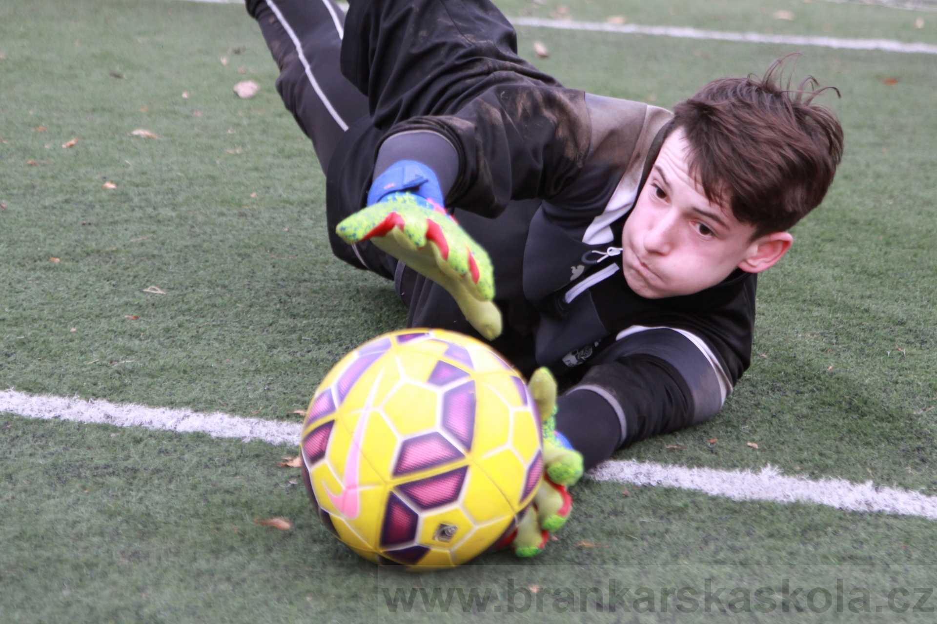 BFŠJCH - Zima 2020 - 1.2.2020