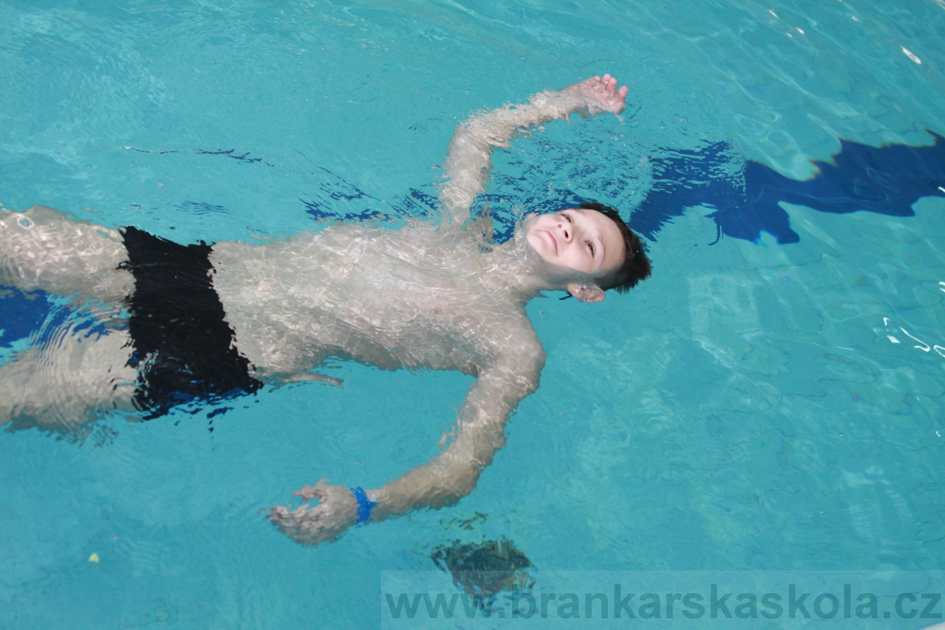 BFŠJCH - Zima 2020 - 1.2.2020