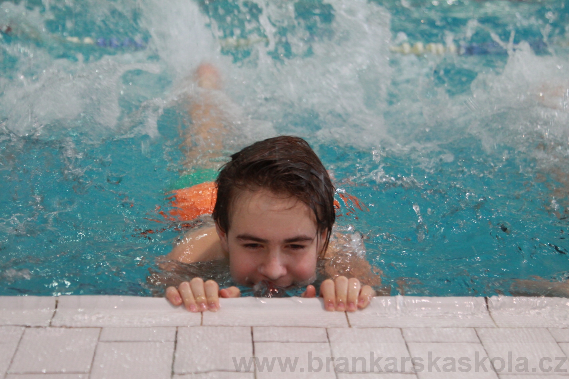 BFŠJCH - Zima 2020 - 1.2.2020