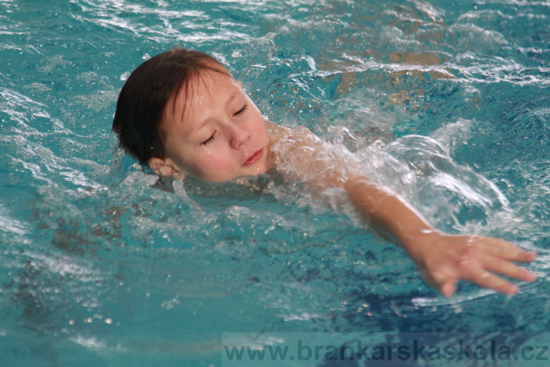 BFŠJCH - Zima 2020 - 1.2.2020