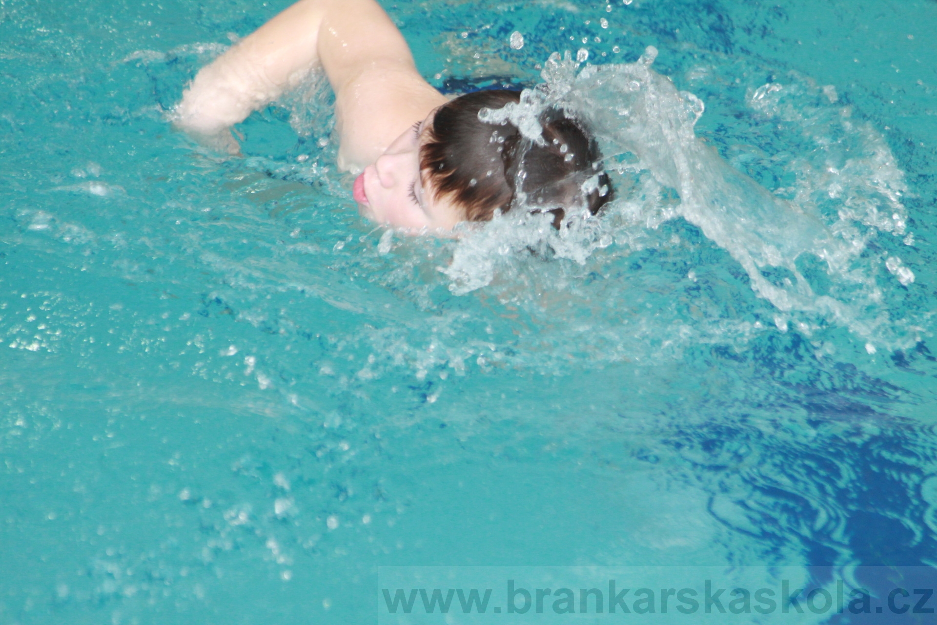 BFŠJCH - Zima 2020 - 2.2.2020