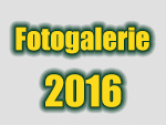Fotografie 16
